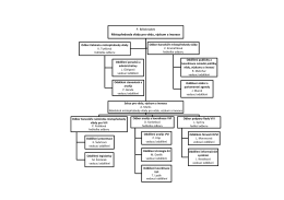 Sekce MPR organizační schema