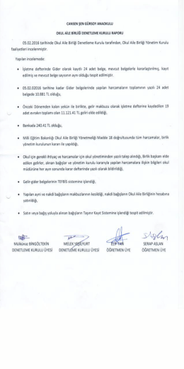 Okul Aile Birliği Denetleme Kurulu Raporu