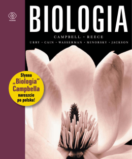 Broszura informacyjna