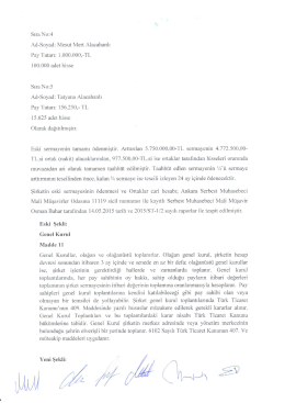Sıra No:4 Ad-Soyad: Mesut Mert Alacahanlı Pay Tutarı
