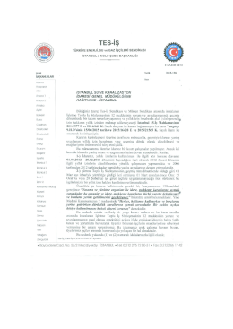 Cumartesi Günlerinin - Tes-is2