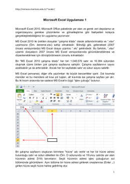 Microsoft Excel Uygulaması 1