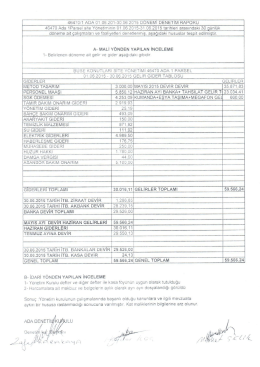 Haziran 15 Denetim Raporu