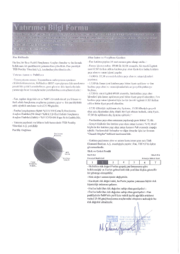 Fon Yatırımcı Bilgi Formu