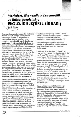 Marksizm, Ekonomik İndirgemecilik ve İktisat İdeolojisineEkolojik