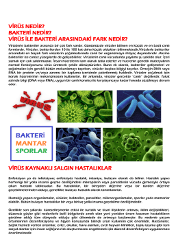 Virüs Bakteri Genel Bilgi