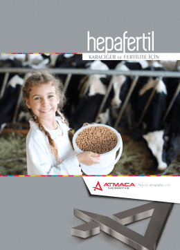 _ heıa BT&Uuml;I - Atmaca İla&ccedil;