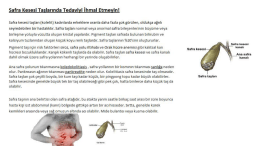 Safra Kesesi Taşlarında Tedaviyi İhmal Etmeyin