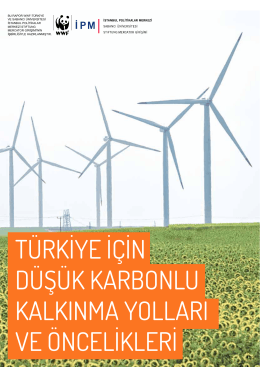 Türkİye İçİn Düşük karbonlu kalkInMa yollarI ve Öncelİklerİ