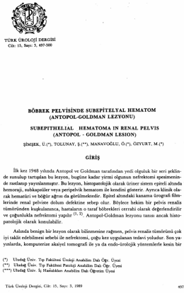 Tam Metin