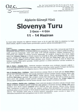 O Bay - Sav Turizm Seyahat Taş. M&uuml;m. İth. İhr. San ve Tic. Ltd. Şti
