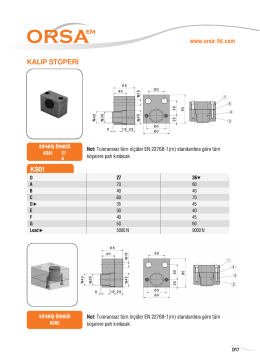 Kalıp Stoperi