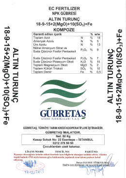 ALTIN TURUN&Ccedil; 18-9-15+2MgO+10SO3+Fe (22071)