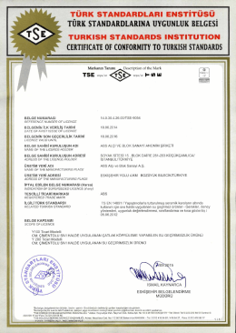 ABS Su Yalıtım Harcı Y100