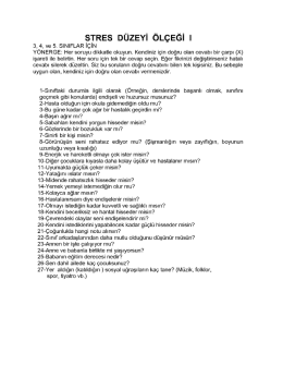 sTREs D&uuml;zEYi &ouml;L&ccedil;EĞi ı