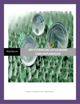 NanoSolar Lotus1