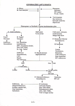 GENERALİZE LAP&rdquo;LI HASTA