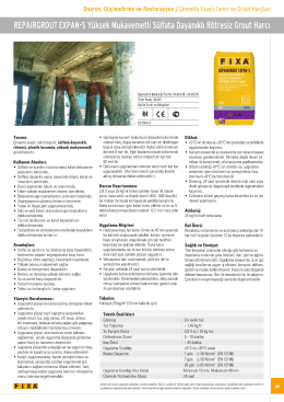 REPAİRGROUT EXPAN-S Yüksek Mukavemetli Sülfata Dayanıklı