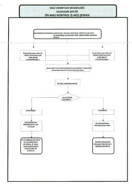 &ouml;n mali kontrol iş akış şeması