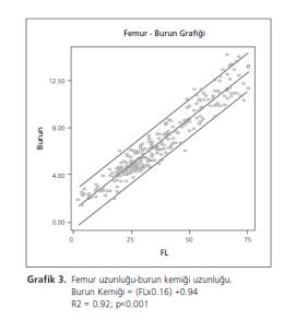 Grafik 3. Femur uzunluğu&mdash;burun kemiği uzunluğu.