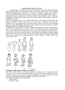 GooDENoUGH ADAM &Ccedil;iz TESTİ