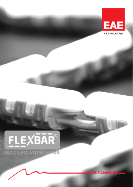 FLEXBAR datasheet
