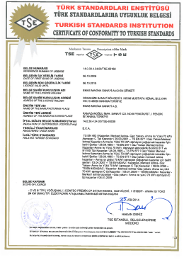 . T&Uuml;RK sTANDARDLARı ENsTİT&uuml;s&uuml;
