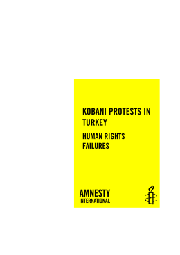 Amnesty International Kobani protests Human Rights Failures 06.07