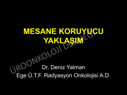 Dr. Deniz Yalman