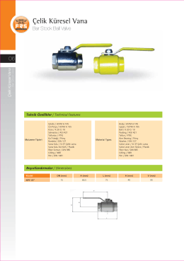 &Ccedil;elik K&uuml;resel Vana