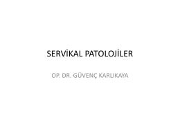servikal patolojiler