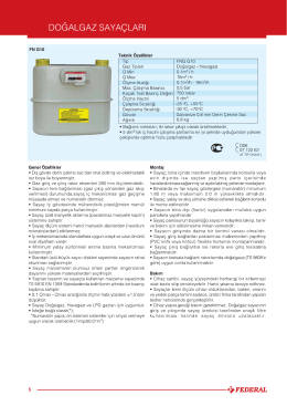 DOĞALGAZ sAYAçLARı