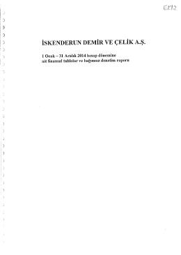 İSKENDERUN DEMİR vE &Ccedil;ELİK A.Ş.