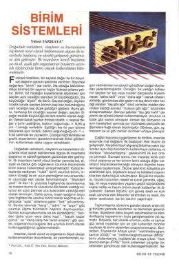 _ BİRİM _ sısTEMLEnı
