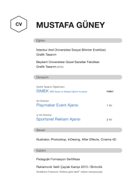 CV Guney - guneymustafa.com
