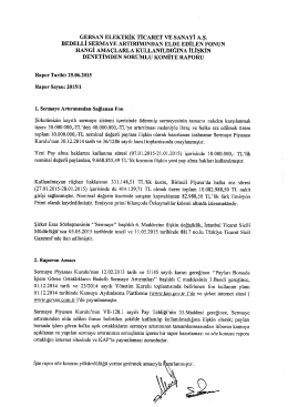 Gerel Fon Kullanım Raporu