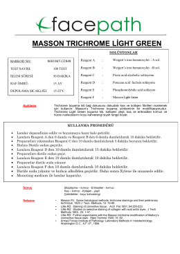 MASSON TRICHROME LİGHT GREEN