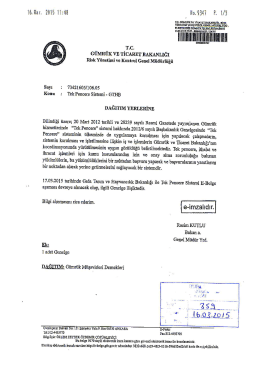 Tek Pencere Sistemi-GTHB - on