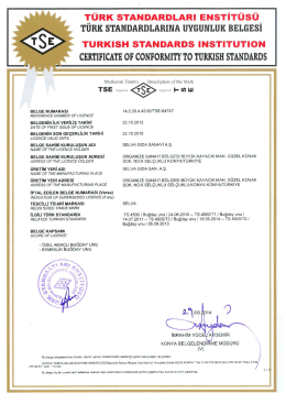 TÜRK STANDARDLARI ENSTİTÜSÜ_ TURK