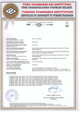 tse 60598 2-5 aydınlatma armatürleri-projektörler
