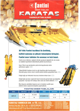 FANTİNİ Mısır Tablası