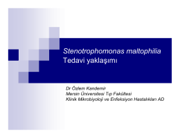 Stenotrophomonas maltophilia Tedavi yaklaşımı Dr Özlem Kandemir