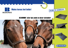BELMONDO® atlar için zemin ve duvar sistemleri