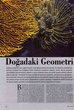 Doğadaki Geometri, Euklides Geometrisi, Fraktal Geometri, Altın