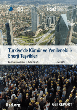Türkiye`de Kömür ve Yenilenebilir Enerji Teşvikleri