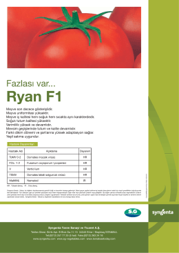 Ryan F1 - Syngenta