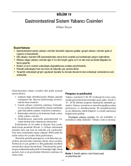 Gastrointestinal Sistem Yabancı Cisimleri