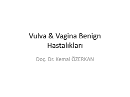 Vulva ve Vagina Benign Hastalıkları