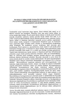 Aiyoub Shahı Prof. Dr. Orhan İnce Development of Effective