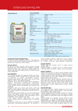 DOĞALGAZ sAYAçLARı